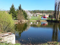 Rybník - Vinice